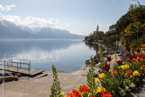 Fleurs au bord du lac Léman à Montreux