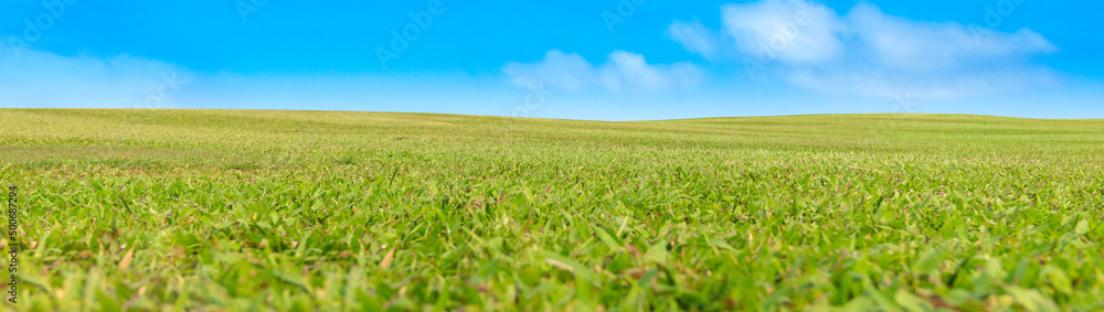 Fototapeta premium Green meadow field under a blue sky with clouds panorama