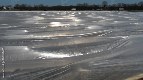 Plastikfolien und Plastikplanen in der Landwirtschaft.
Kultivierung von Spargel im Frühjahr in Deutschland.
Autobahn im Hintergrund. Sonnige Reflexe auf der Folie, windiger Tag.
