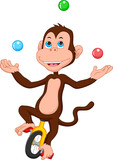 cartoon cute monkey riding bicycle and juggling balls