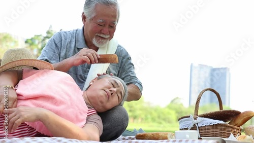 An elderly couple doing picnics and relaxing in the garden with bright smiles and enjoying the relaxation of summer season. Health and relaxation after retirement.
