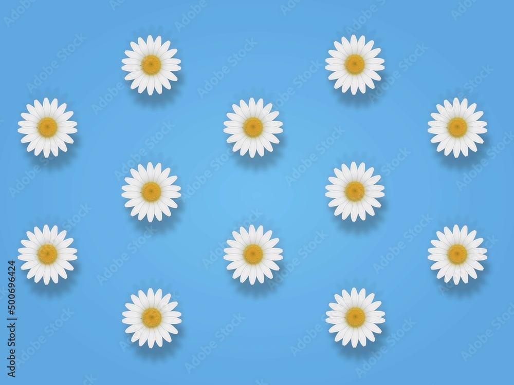 White flowers arranged diagonally repeatedly on a simple, plain light blue background White flowers arranged diagonally repeatedly on a simple, plain light blue background