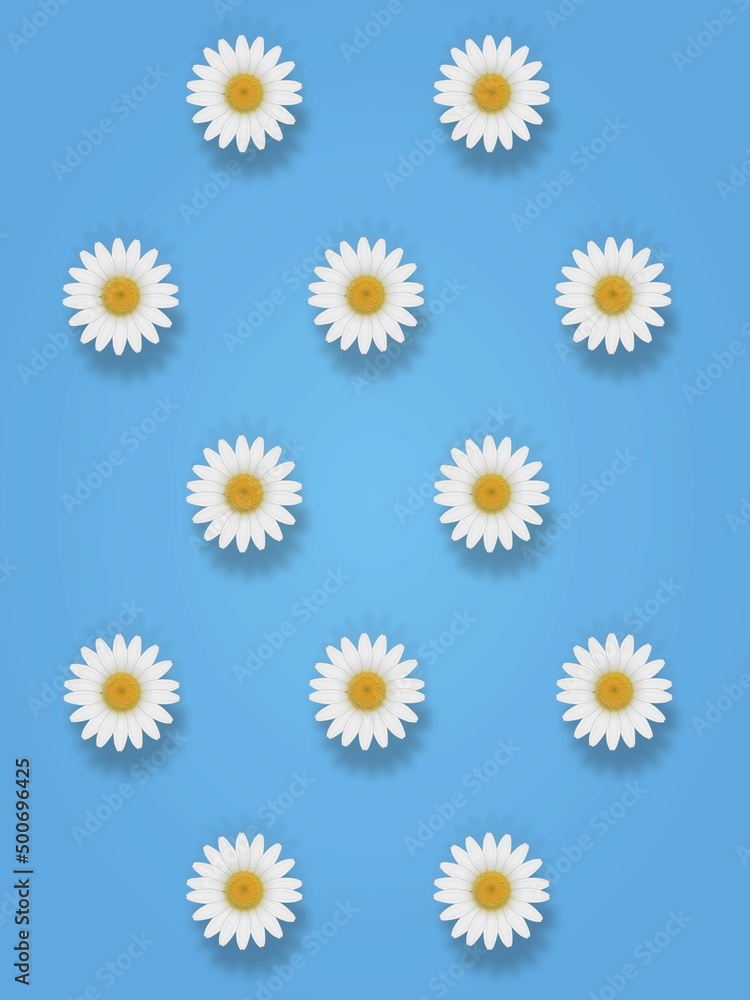 White flowers arranged diagonally repeatedly on a simple, plain light blue background