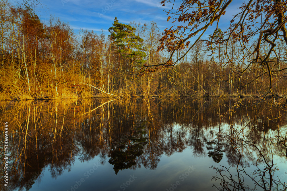 Obraz premium Abendsonne am Moorsee