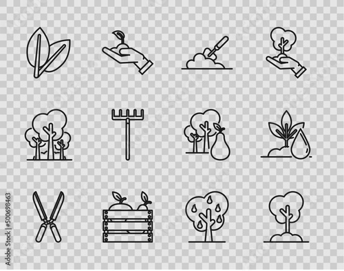 Set line Gardening handmade scissors for trimming, Tree the ground, trowel spade shovel, Wooden box fruits vegetables, Leafs, rake, with pears and Watering plant icon. Vector