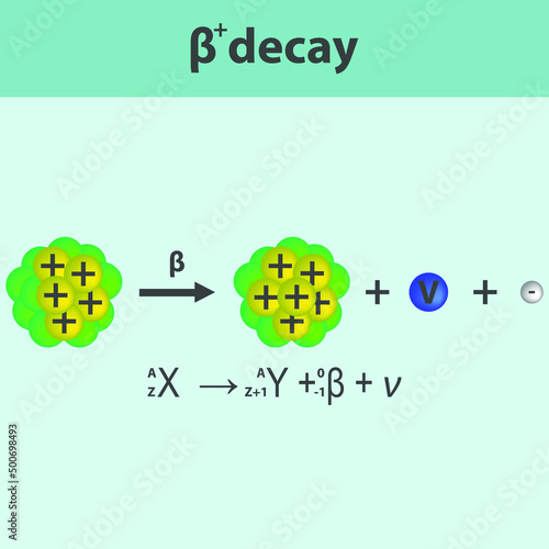 Beta plus Decay infographic with equation. Formation of new element by a change in number of protons in nucleus. photo