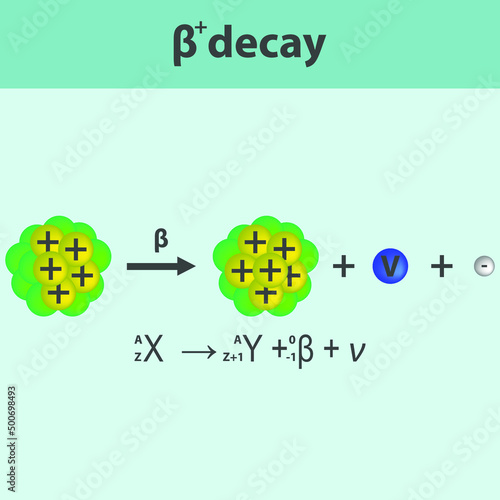 Beta plus Decay infographic with equation. Formation of new element by a change in number of protons in nucleus.