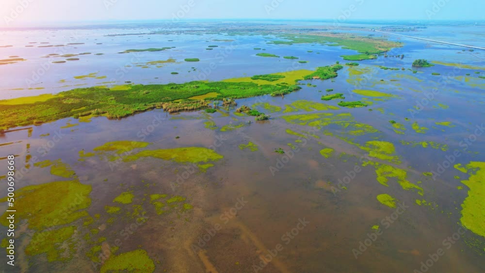 Aerial view from a drone over green and yellow plants in a large wetland. an abundance of tropical plants in Thale Noi, Phatthalung, Thailand. 4k drone footage
Aerial view from a drone over green and yellow plants in a large wetland. an abundance of tropical plants in Thale Noi, Phatthalung, Thailand. 4k drone footage