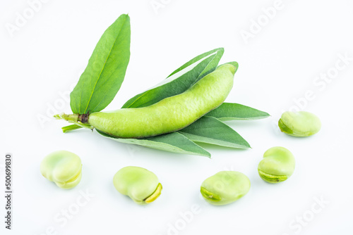 Fresh broad bean pods on white background