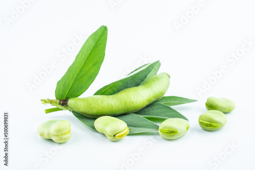 Fresh broad bean pods on white background
