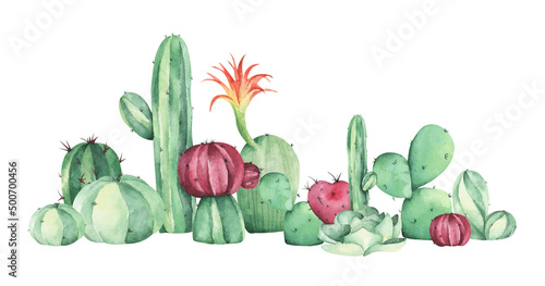 Watercolor painting of cacti and succulent plants. Isolated on white background.