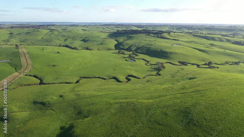Flying over a farm and ranch of beef cattle in australia Flying over a farm and ranch of beef cattle in australia