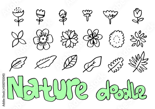 a collection of hand-drawn flower images such as bell flower, chrysanthemums, sunflowers, cotton flowers, and tropical leaves