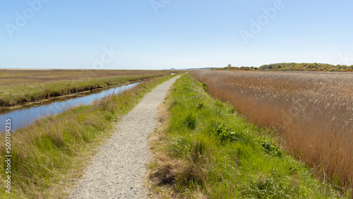 Schilderij op canvas Dingle Marshes Looking Towards Dunwich on the Suffolk Coast