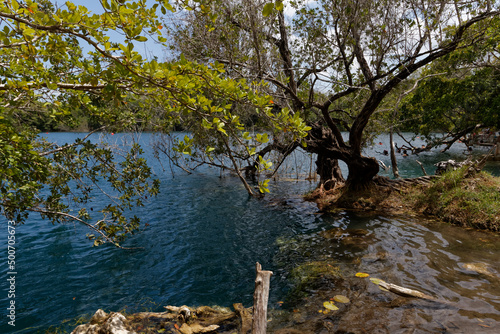 Cenote Azul - największa i najgłębsza (90 m) cenota w Bacalar.