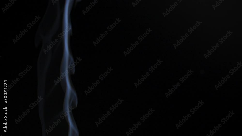 Abstract smoke rises up in beautiful swirls on a black background. Slow motion Abstract smoke rises up in beautiful swirls on a black background. Slow motion