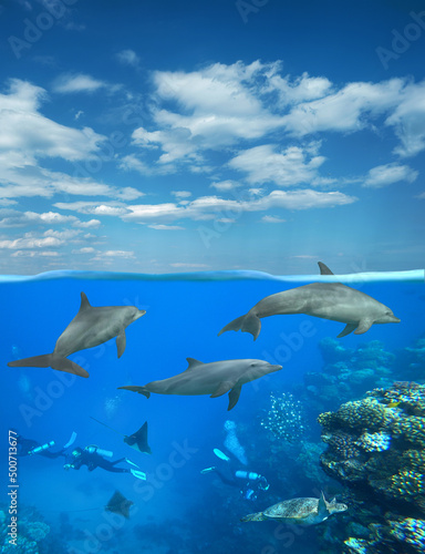 Canvas bottlenose dolphin and coral reef, split