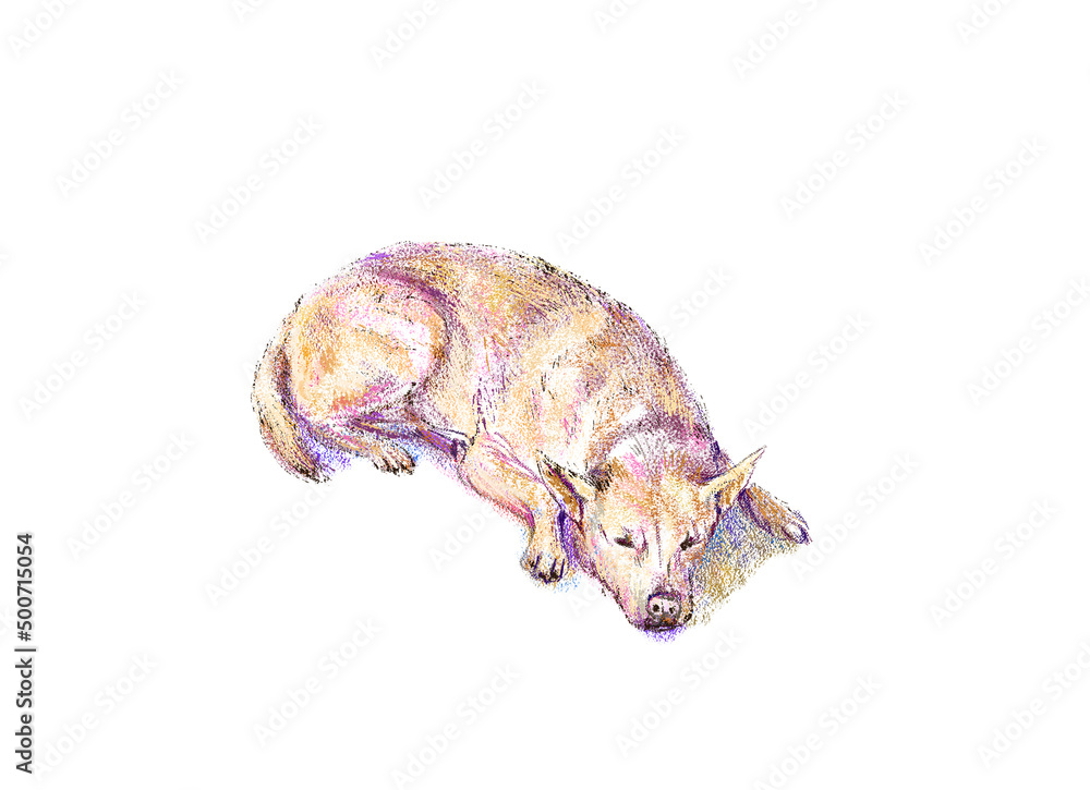 Realistic golden Labrador Retrieve lying down on floor in digital painting, digital illustration art design Realistic golden Labrador Retrieve lying down on floor in digital painting, digital illustration art design