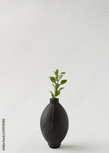 A small green plant grows from a black object. Sumer or spring concept.Nature minimalism