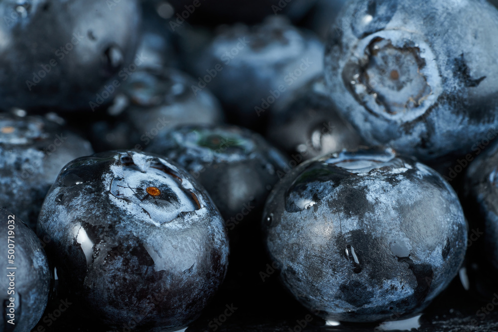 Few blueberries with water drops close-up macro Few blueberries with water drops close-up macro