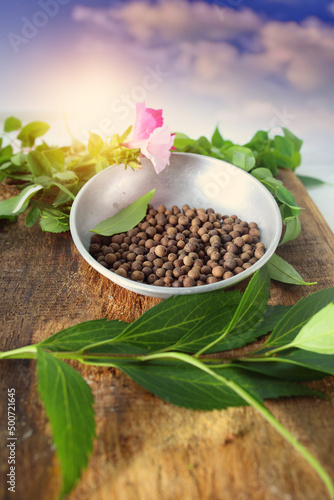 allspice tasty natural and healthy