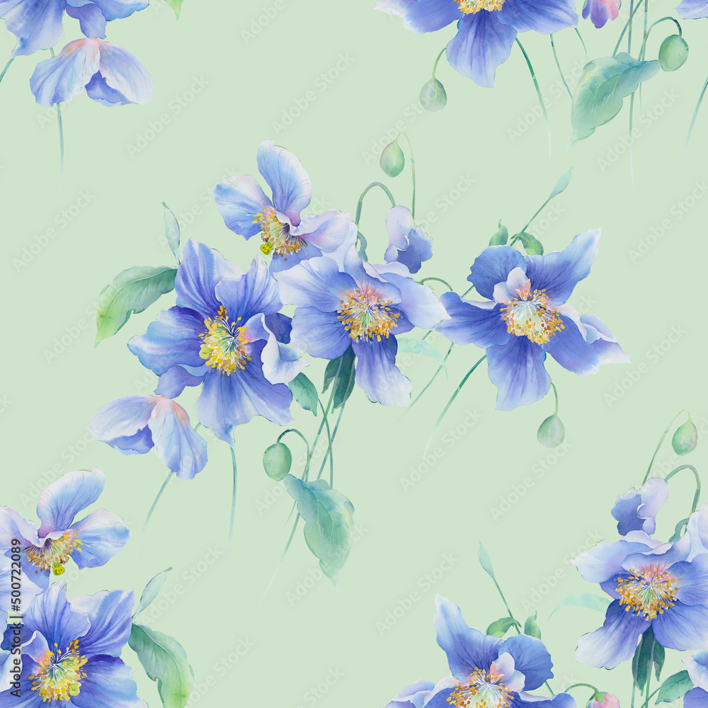 Fototapeta Watercolor flowers illustration