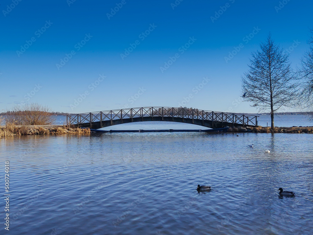 Peaceful lake with ducks deck and bridge viewed under blue sky on a sunny day