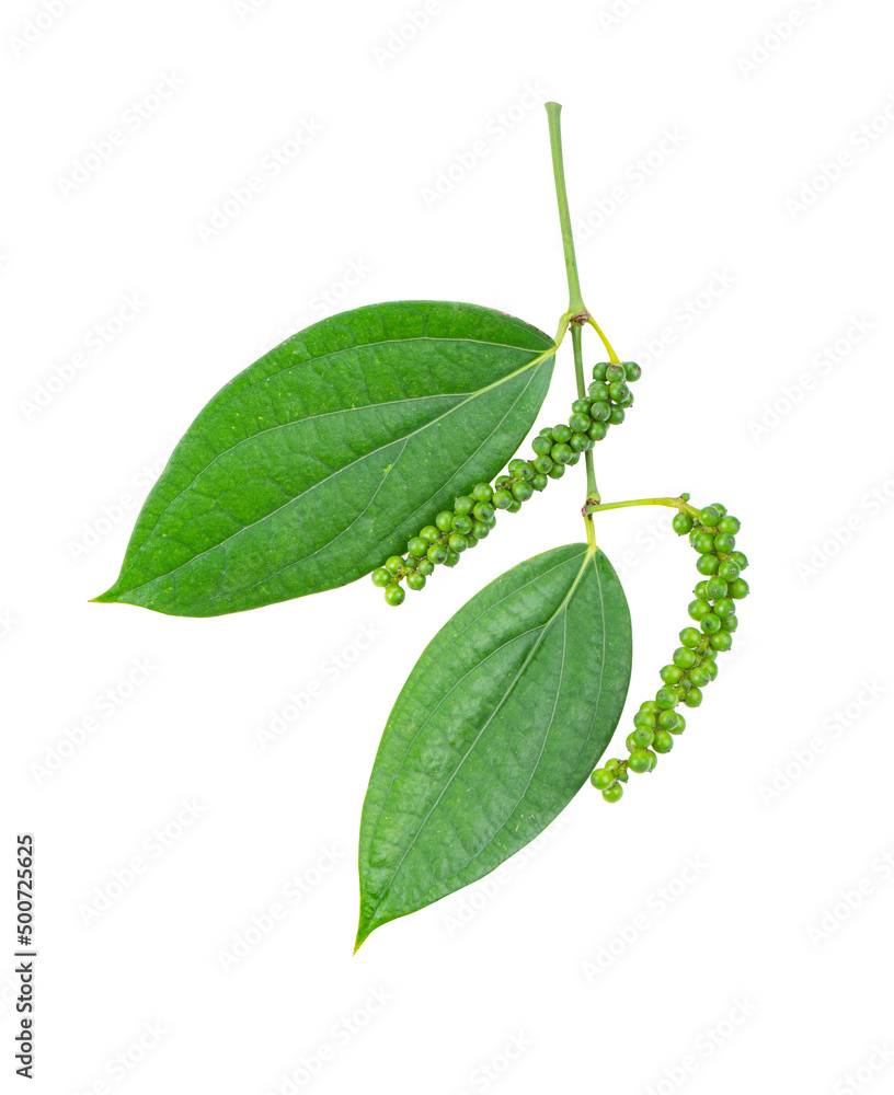 Obraz premium Green peppercorn on white background