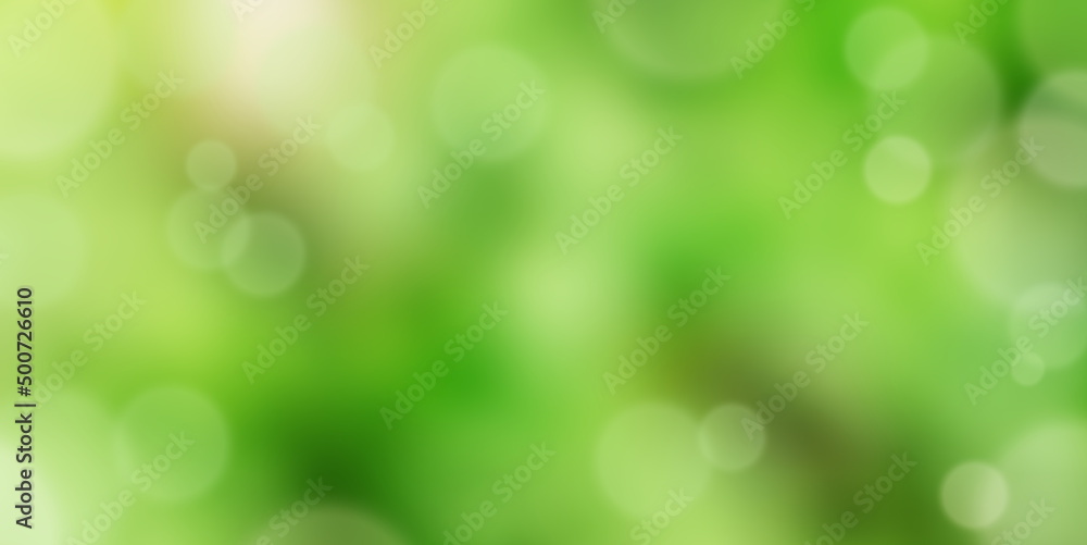 The blurred green of the leaves of trees in the sunlight and glare The blurred green of the leaves of trees in the sunlight and glare