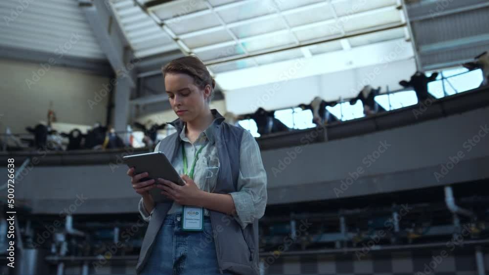 Focused worker dairy farm inspect milking parlour. Modern manufacture facility Focused worker dairy farm inspect milking parlour. Modern manufacture facility