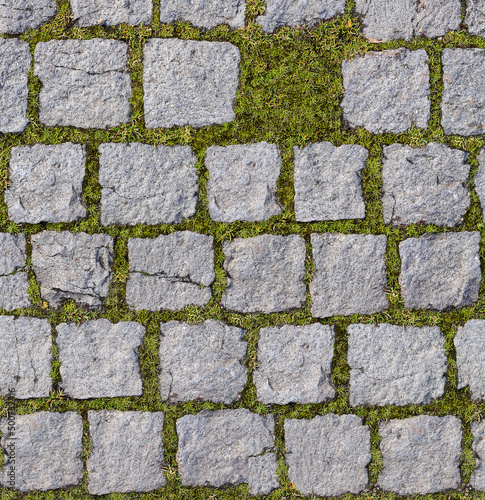 Close detail of square stones surrounded by grass