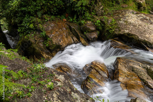 Very calm river in the brazilian rainforest in the state of S  o Paulo - Brazil