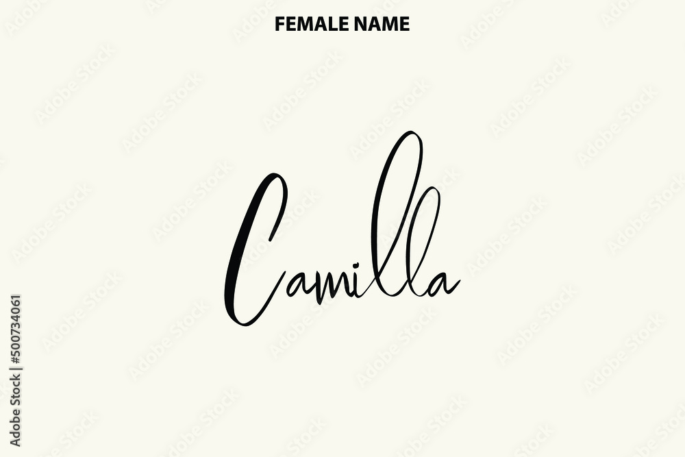 Typographic Spelling of The Girl Name Camilla on Light Yellow Background