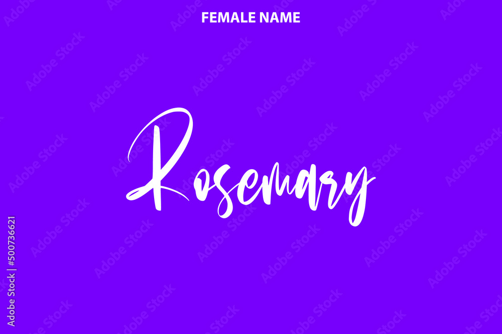 Text Lettering Baby Girl and Women's Name Rosemary on Purple Background Text Lettering Baby Girl and Women's Name Rosemary on Purple Background