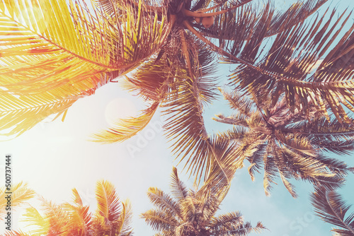 Copy space of silhouette tropical palm tree on sunset sky with bokeh light leak abstract background. Summer vacation and nature travel adventure concept. © tonktiti
