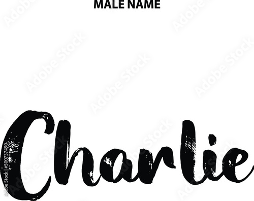 Charlie Boy Name in Stylish Grunge Bold Typography Text Sign photo