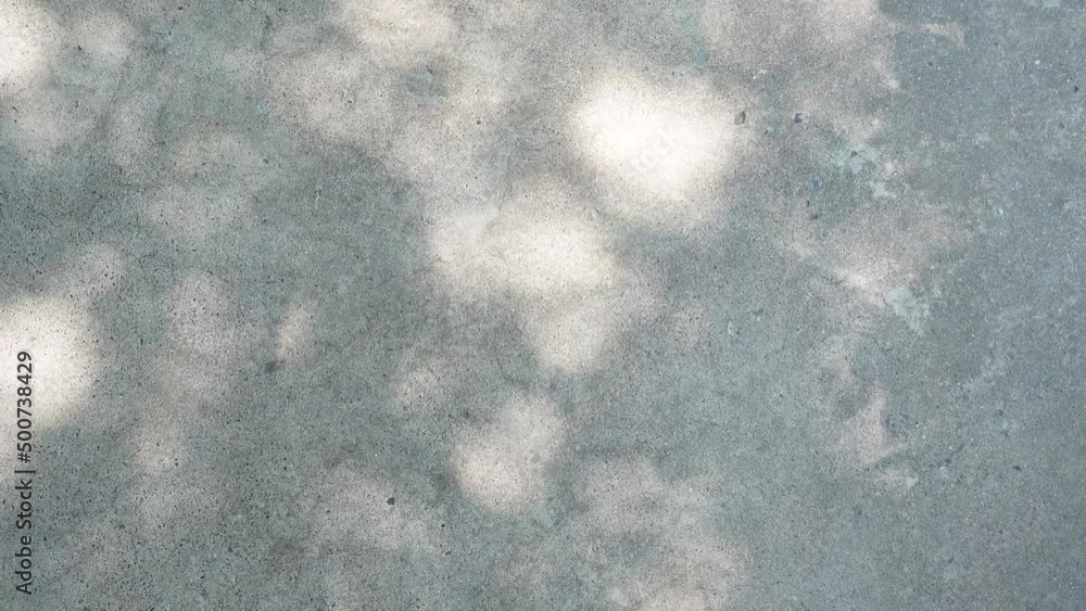 Tree leaves in sunlight beautiful shadow on reflect on concrete wall