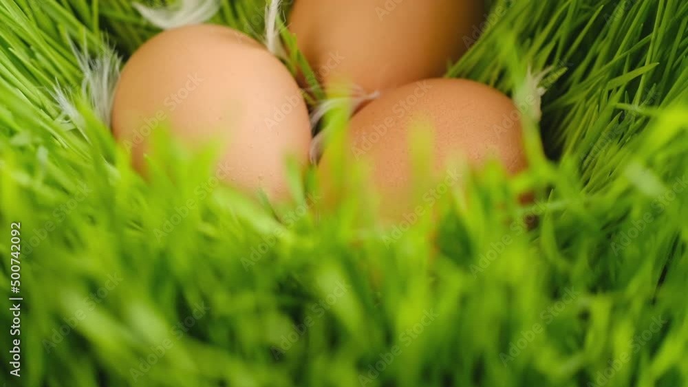 Chicken egg, rotation shot, Chicken fresh raw eggs.Healthy fresh food ingredients for breakfast. Animal products. Grocery. Chicken farm fresh eggs Chicken egg, rotation shot, Chicken fresh raw eggs.Healthy fresh food ingredients for breakfast. Animal products. Grocery. Chicken farm fresh eggs