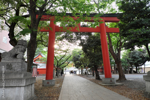                                                    Torii of Hanazono-jinjya Shrine   Sinnjyuku-ku Tokyo Japan   2022   