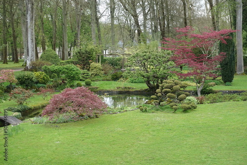 Jardin Japonais à Courances photo