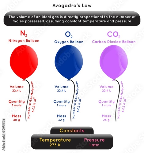 Avogadro Law Infographic Diagram example nitrogen oxygen carbon dioxide balloon volume number of molecule quantity mass constant temperature pressure atom substance physics science education vector