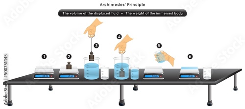 Archimedes Principle Experiment Infographic Diagram example weight digital scale immersed body fluid container volume displaced water equal body weight lab observation physics science education vector