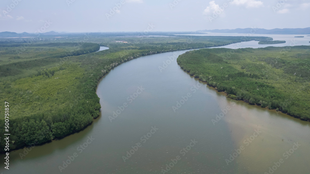 A bird's-eye view of the mangrove forest from a drone.
