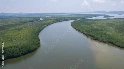 A bird's-eye view of the mangrove forest from a drone.