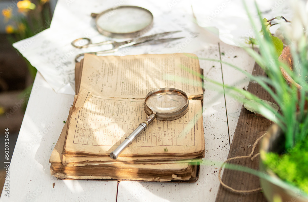 magnifying glass on the table in veranda. flower seedling, open book. magnifying glass on the table in veranda. flower seedling, open book.