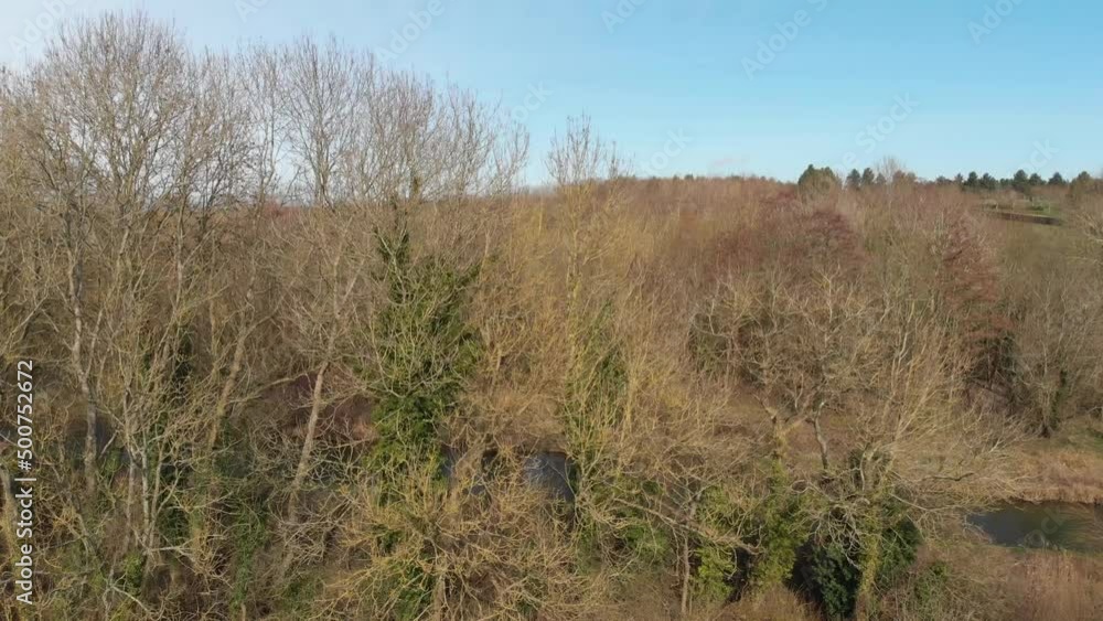 Rising slowly above the Cherwell Valley, UK in winter Rising slowly above the Cherwell Valley, UK in winter
