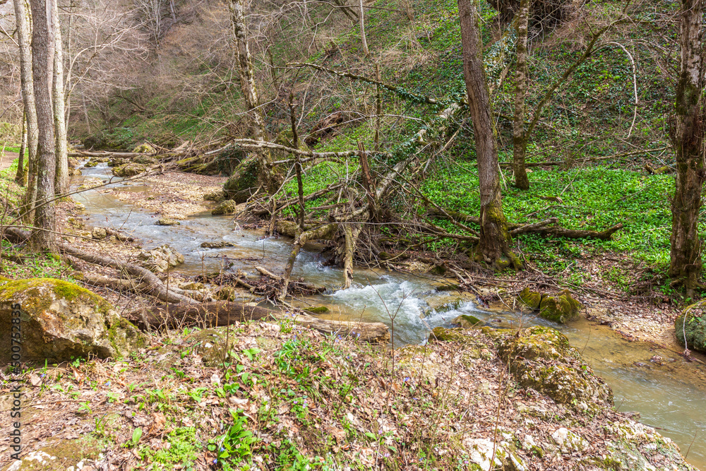spring in nature, a natural park, a mountain river in a natural channel with rapids and waterfalls.* spring in nature, a natural park, a mountain river in a natural channel with rapids and waterfalls.*
