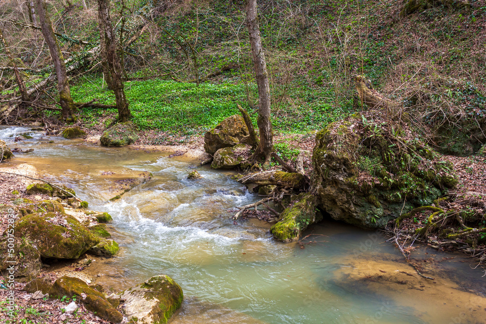 spring in nature, a natural park, a mountain river in a natural channel with rapids and waterfalls.* spring in nature, a natural park, a mountain river in a natural channel with rapids and waterfalls.*