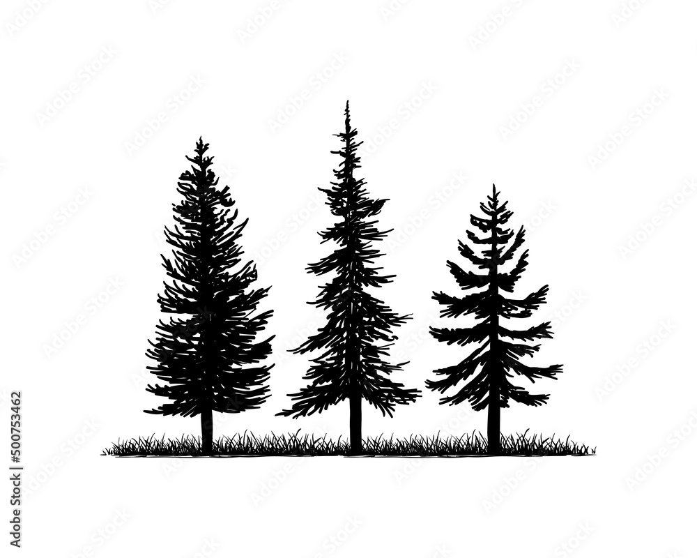 Old Pine Tree Silhouette on the Park Residential landscape Hand Drawing Symbol Vintage Seal Stock Vector	