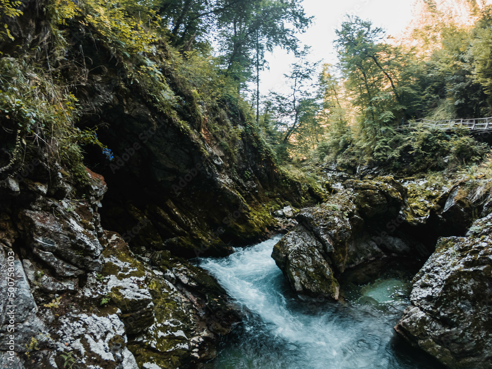 Beautiful Vintgar Gorge in Slovenia in Summer Beautiful Vintgar Gorge in Slovenia in Summer